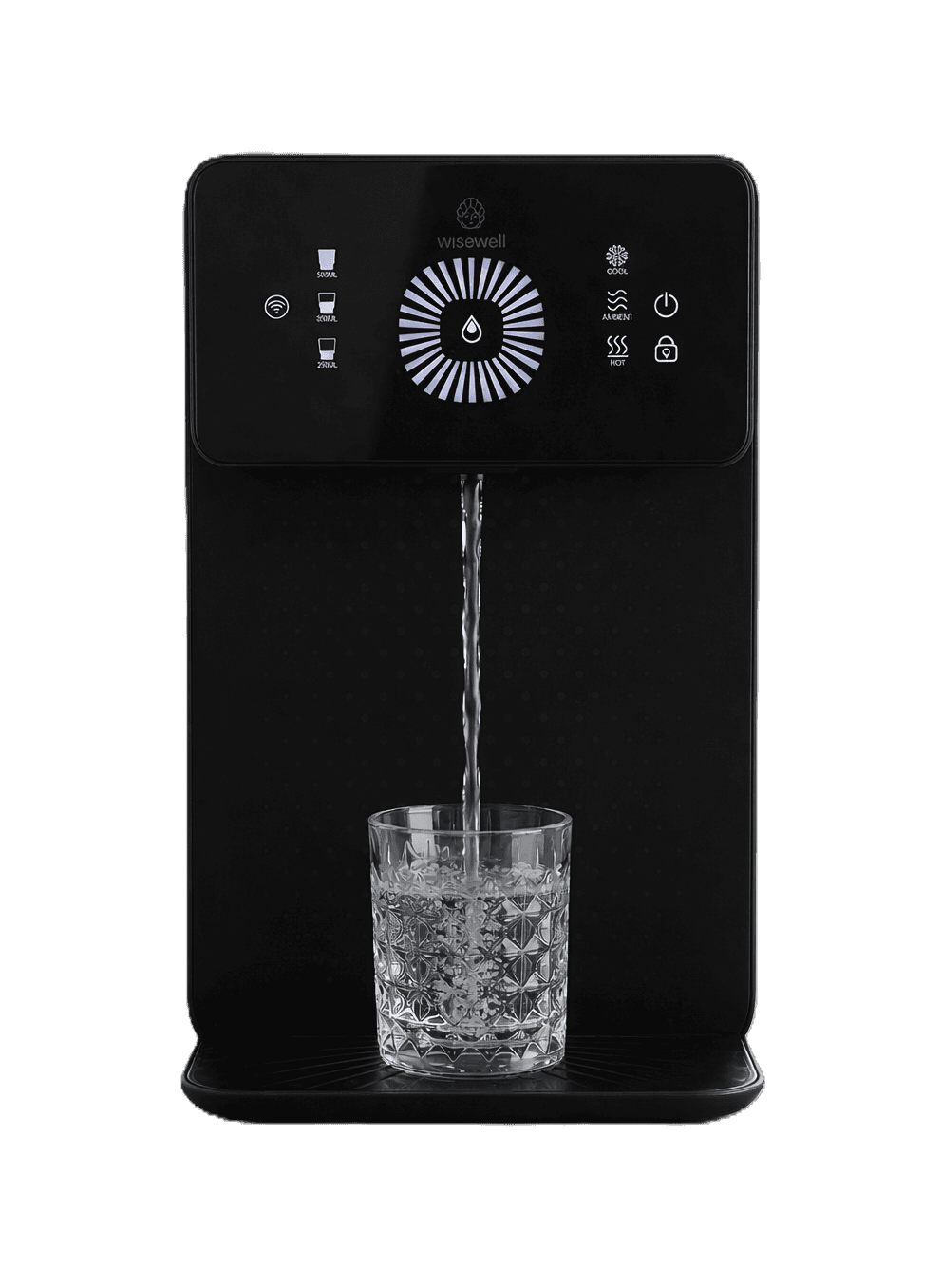 Wisewell Nano — Black
