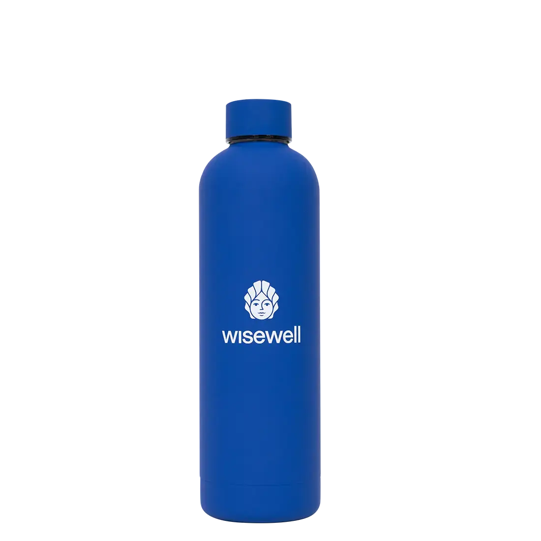 Matte Steel Bottles 750ml / Electric Blue