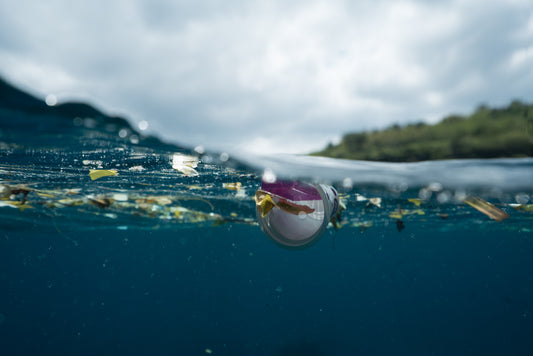 What are microplastics and why are they harmful
