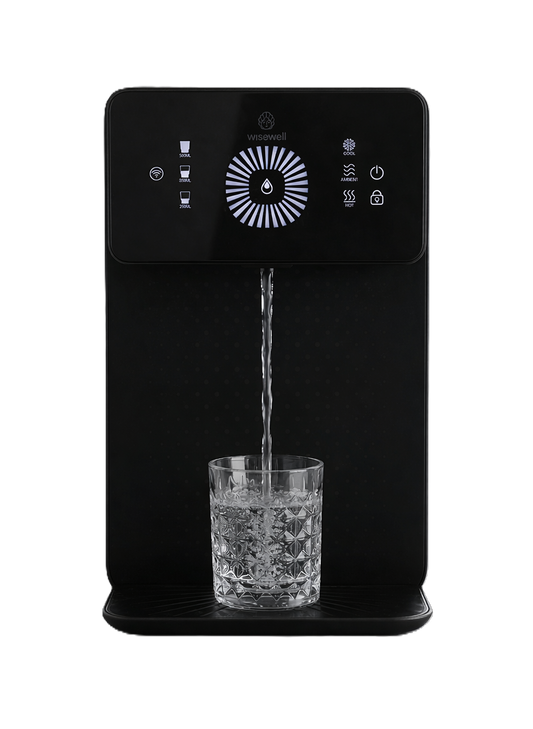 Wisewell Nano Subscription