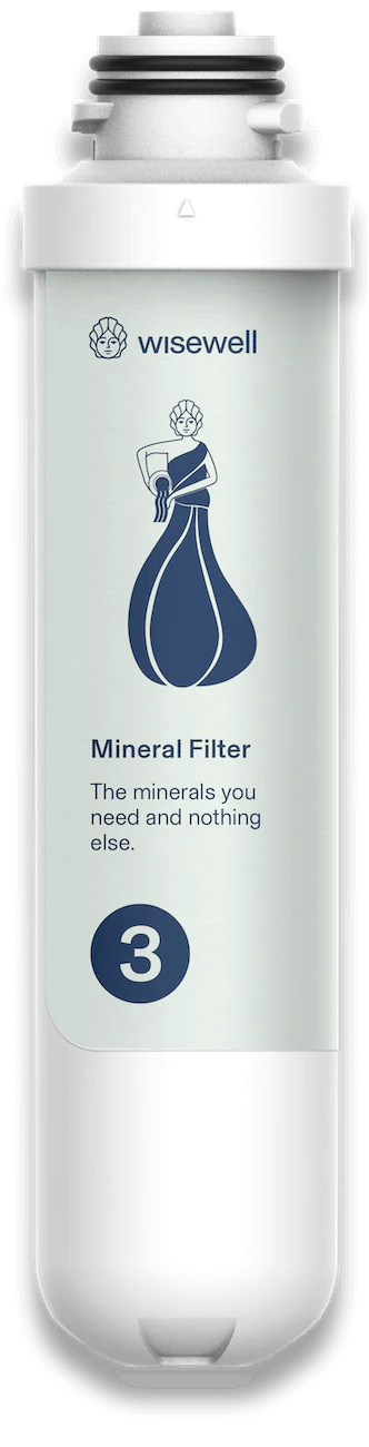 wisewell mineral filter
